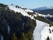 Vue sur la piste Rainer n° 21