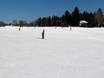 Diversité des pistes Monts Fichtel (Fichtelgebirge) – Diversité des pistes Fleckllift – Warmensteinach