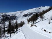 Descente Trogalmseen