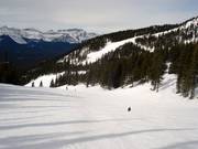 Piste n° 56 Deer Run