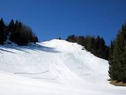 Piste noire à côté du télésiège du sommet