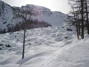 Piste à bosses Rock Garden