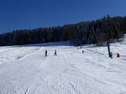 Pente du téléski Sonnenlifthang pour débutants