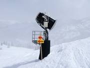 Enneigement à Brighton