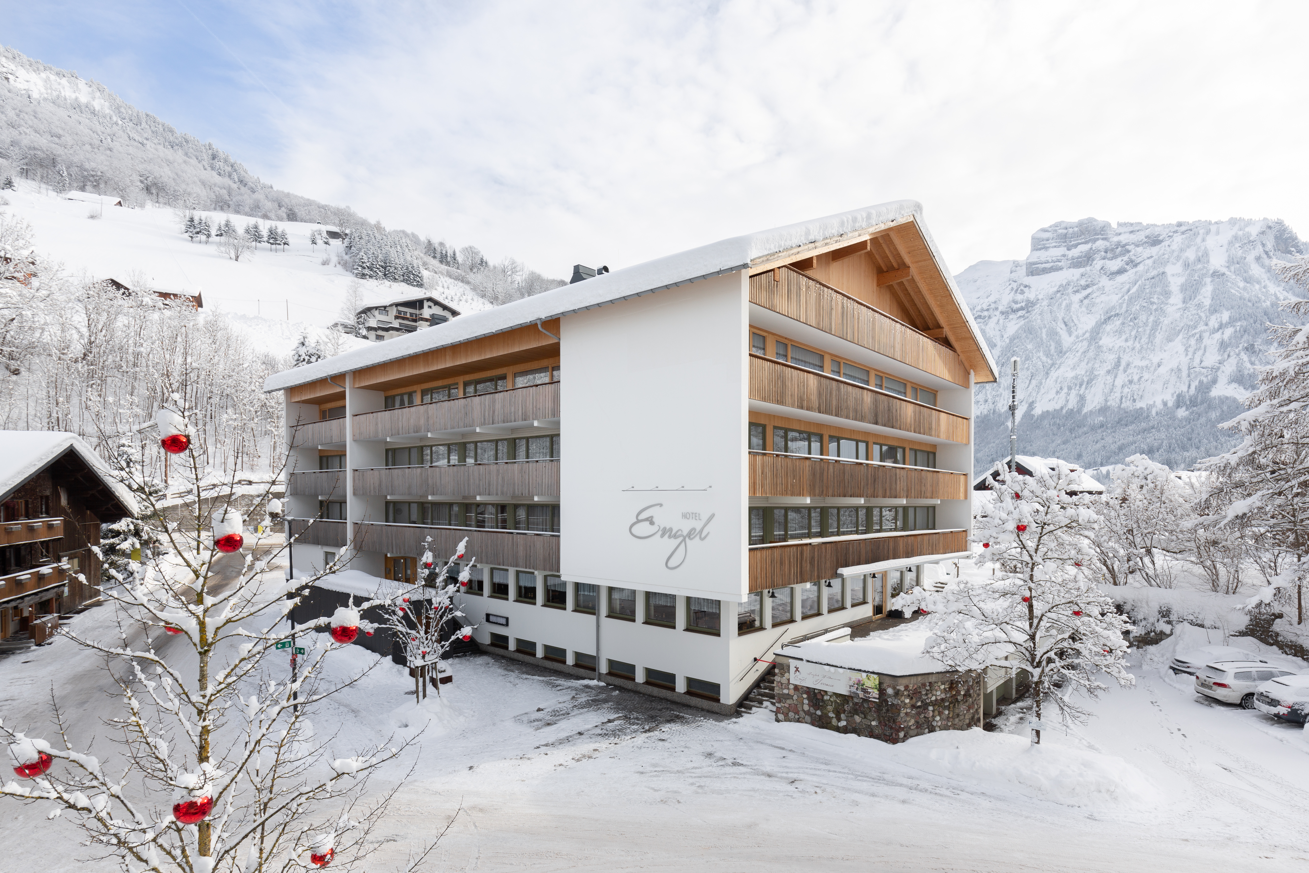 Hotel Engel