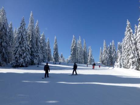 Diversité des pistes Forêt-Noire – Diversité des pistes Feldberg – Seebuck/Grafenmatt/Fahl