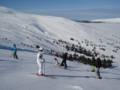 Images Trysil