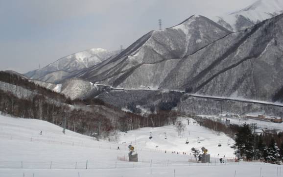 Diversité des pistes Alpes japonaises – Diversité des pistes Naeba (Mt. Naeba)