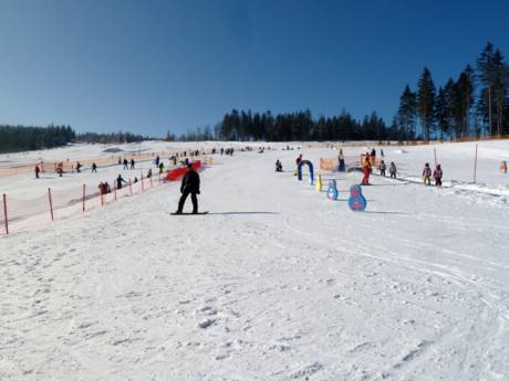 Domaines skiables pour les débutants dans les régions allemandes de moyenne montagne – Débutants Arber