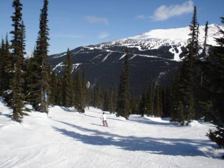 Diversité des pistes Chaînes côtières du Pacifique – Diversité des pistes Whistler Blackcomb