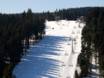 Diversité des pistes régions allemandes de moyenne montagne – Diversité des pistes Winterberg (Skiliftkarussell)