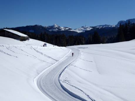 Ski nordique Alpes – Ski nordique Steinplatte/Winklmoosalm – Waidring/Reit im Winkl