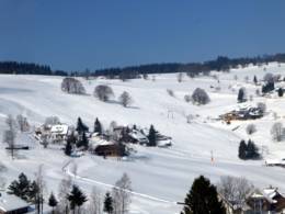 Domaine skiable Schauinsland – Hofsgrund