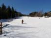Domaines skiables pour les débutants dans les Appalaches – Débutants Whiteface – Lake Placid