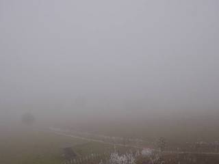 Herchenhainer Höhe - Vogelschmiede