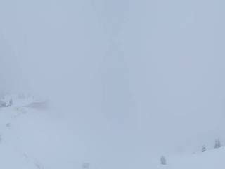 Donnersbachwald – Riesneralm