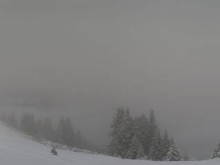 Brandnertal - Loischkopf