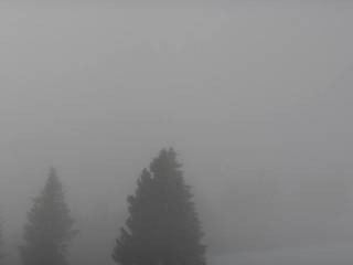 Furtwangen i. S. - Brendturm