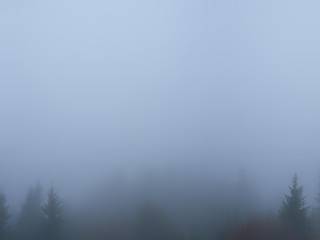 Jungfraubahnen Management AG