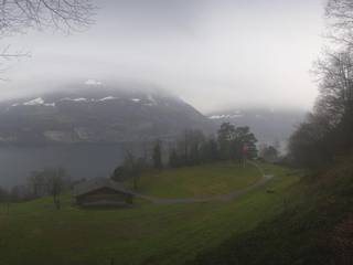 Rütli Mccardell GmbH