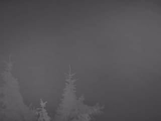 Tatrapoma/Chata Alpina