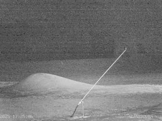 Vitanová/Vrchdolinka