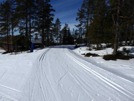 Ski nordique Suède – Ski nordique Idre Fjäll