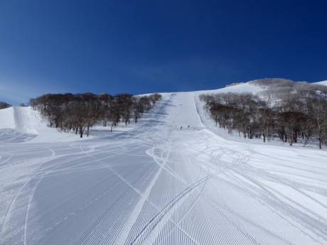 Diversité des pistes Japon – Diversité des pistes Niseko United – Annupuri/Grand Hirafu/Hanazono/Niseko Village