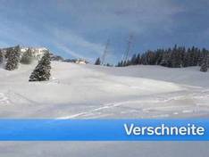 Vidéo Schilt – Mollis