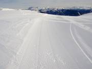 Pistes soigneusement damées