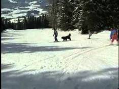 Vidéo Tonnerhütte – Mühlen