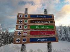 Vidéo Romme Alpin