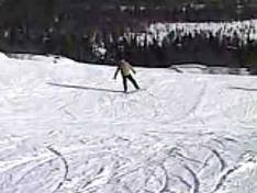 Vidéo Skärsjövålen