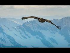 Vidéo Kitzsteinhorn/Maiskogel – Kaprun