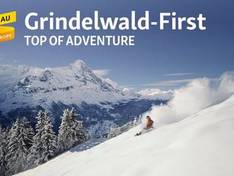 Vidéo First – Grindelwald