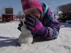 Vidéo Christmas Mountain