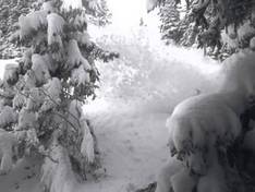 Vidéo Laax/Flims/Falera