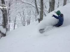 Vidéo Madarao/Tangram