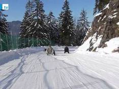 Vidéo Wallberg – Rottach-Egern