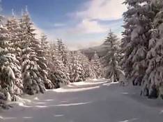 Vidéo Muggenbrunn