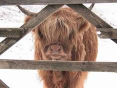 Vidéo Lake District Ski Club – Raise