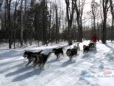 Vidéo Mont-Sainte-Anne