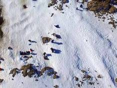 Vidéo Primeros Pinos