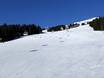 Diversité des pistes Alpes – Diversité des pistes Saalbach Hinterglemm Leogang Fieberbrunn (Skicircus)