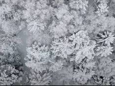 Vidéo Niseko United – Annupuri/Grand Hirafu/Hanazono/Niseko Village