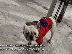 Vidéo Olimpica – Borșa