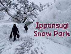 Vidéo Ipponsugi
