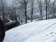 Vidéo Habkern – Sattelegg