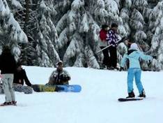 Vidéo Vogelskopf (Baiersbronn)