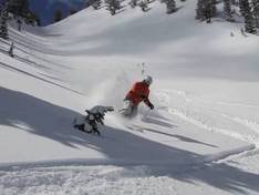 Vidéo Powderbird